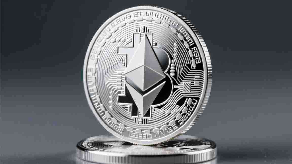 狗狗有多少人民币